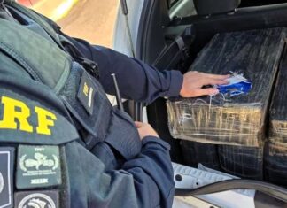 Ocultos por panos pretos, 285 kg de maconha são localizados na BR-101 em Barra Velha