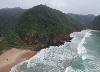 Itajaí 165 anos: assinado decreto que cria o Parque Natural Municipal do Canto do Morcego