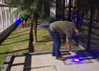 Navegantes intensifica capturas de escorpiões amarelos