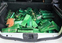 134 kg de maconha são localizados na BR-101