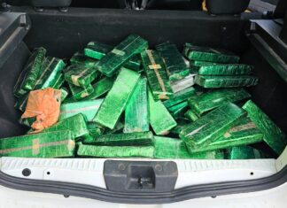 134 kg de maconha são localizados na BR-101