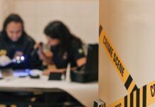 Polícia Federal prende homem em flagrante por armazenamento de material de abuso sexual infantojuvenil em Campo Alegre