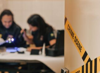 Polícia Federal prende homem em flagrante por armazenamento de material de abuso sexual infantojuvenil em Campo Alegre