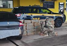 Mais de 450 kg de maconha são localizados em carro na BR-282