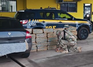 Mais de 450 kg de maconha são localizados em carro na BR-282