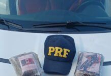 Haxixe importado é encontrado escondido em motor de carro na BR-101
