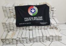 Ações da Polícia Militar apreendem mais de 850 kg de drogas em Santa Catarina em 24h