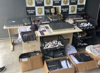 Polícia Civil deflagra operação contra venda clandestina de anabolizantes em Santa Catarina e São Paulo