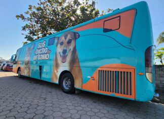 Fundema promove mutirão gratuito de castração para 200 animais