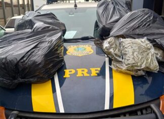 Homem é preso com quase 50 quilos de skunk em Imbituba