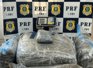Perseguição na BR-101 termina com 40 quilos de skunk apreendidos em Palhoça