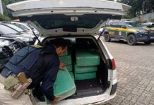 PRF apreende mais de meia tonelada de maconha em Joinville