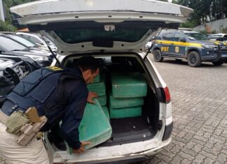 PRF apreende mais de meia tonelada de maconha em Joinville