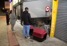 Navegantes reforça rede de cuidado com pessoas e animais vulneráveis durante frio intenso