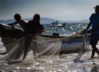Santa Catarina conquista ampliação da cota de pesca de arrasto de praia em 100 toneladas
