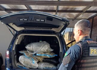 PRF apreende mais de 80 quilos de skunk na BR-101