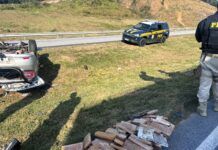 Motorista foge de abordagem, capota o carro e é preso com maconha no contorno da BR-101 em São José