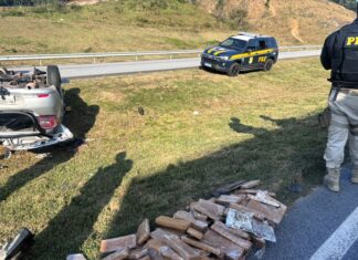 Motorista foge de abordagem, capota o carro e é preso com maconha no contorno da BR-101 em São José