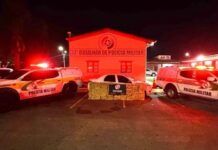 Polícia Militar registra recorde de apreensões de drogas nas rodovias estaduais no primeiro semestre