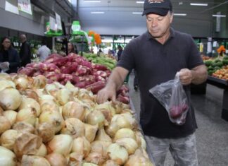 Cesta básica de julho registra queda de 4,54% em Navegantes