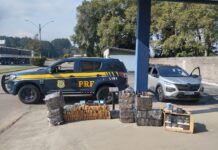 Casal é detido com mais de 230 quilos de maconha e anabolizantes