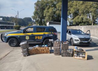 Casal é detido com mais de 230 quilos de maconha e anabolizantes