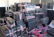 Ação conjunta apreende 3,7 toneladas de maconha no norte de Santa Catarina