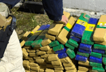 Homem é preso com mais de 111 quilos de maconha em Balneário Camboriú