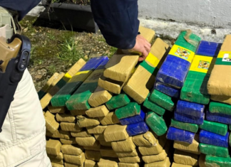 Homem é preso com mais de 111 quilos de maconha em Balneário Camboriú