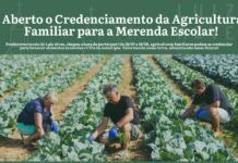 Luiz Alves abre credenciamento para Agricultura Familiar na alimentação escolar