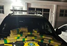 Perseguição na BR-101 termina com carro acidentado e maconha apreendida em Penha