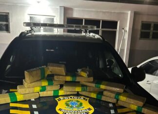 Perseguição na BR-101 termina com carro acidentado e maconha apreendida em Penha