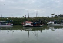 Saúde do Pescador acontece nesta quarta-feira (13) em Balneário Piçarras
