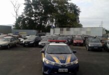 PRF promove leilão de mais de 2 mil veículos apreendidos ou abandonados em rodovias federais de SC