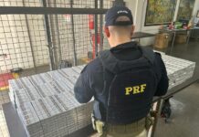 PRF apreende quase 4 mil maços de cigarro contrabandeado na BR-101