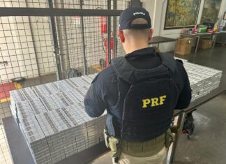 PRF apreende quase 4 mil maços de cigarro contrabandeado na BR-101