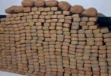 Carro com placas clonadas é apreendido com quase 300 kg de maconha em Itajaí