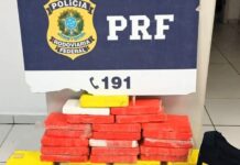 Furgão carregado com 43 quilos de cocaína é interceptada pela PRF ne BR-101