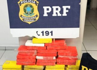 Furgão carregado com 43 quilos de cocaína é interceptada pela PRF ne BR-101