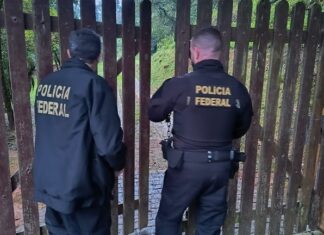 PF, IBAMA e IMA combatem crimes ambientais em Santa Catarina