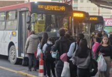 Navegantes abre consulta pública para concessão do transporte coletivo urbano
