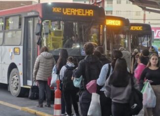 Navegantes abre consulta pública para concessão do transporte coletivo urbano