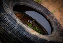 Municípios têm até sexta-feira para aderir à campanha de recolhimento de pneus inservíveis em SC