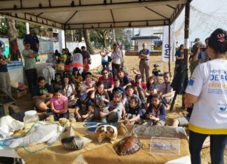 IMP realiza ação de revitalização na Praça de Todas as Idades em parceria com o Grupo Escoteiro Baden Powell