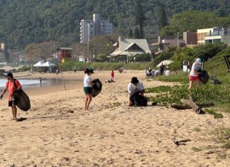 Voluntários se reuniram para limpeza da Praia Grande no último sábado