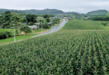 Turismo abre edital para interessados em participar do projeto de criação do Roteiro Agroturístico de Balneário Piçarras