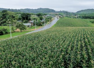 Turismo abre edital para interessados em participar do projeto de criação do Roteiro Agroturístico de Balneário Piçarras