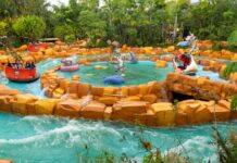 Beto Carrero renova a atração Madagascar Crazy River Adventure com mais emoção e tecnologia