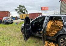 PRF apreende cerca de 500 kg de maconha e recupera carro roubado em Itajaí