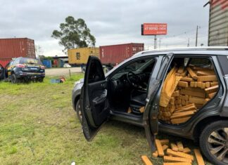 PRF apreende cerca de 500 kg de maconha e recupera carro roubado em Itajaí
